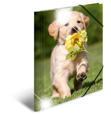 Gummizugmappe Sammelmappe A4 PP 19327, A4 Motiv Hunde PP, mit 3 Einschlagklappen