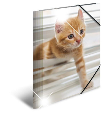 Gummizugmappe Sammelmappe A4 PP 19328, A4 Motiv Katzen PP, mit 3 Einschlagklappen