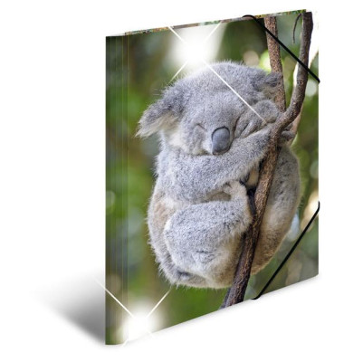 Gummizugmappe Sammelmappe A3 PP 19333, A3 Motiv Koala PP, mit 3 Einschlagklappen