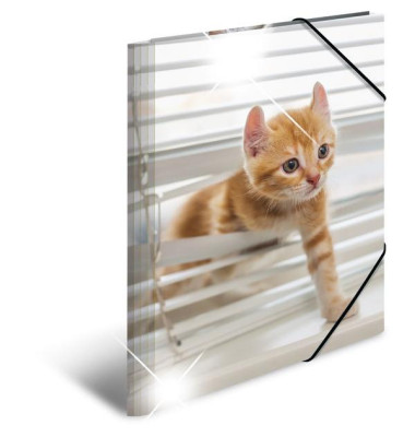 Gummizugmappe Sammelmappe A3 PP 19337, A3 Motiv Katzen Polypropylen, mit 3 Einschlagklappen