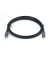 Equip USB Kabel 3.2 C -  C St/St 0.5m 5A schwarz