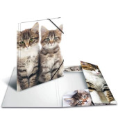 Eckspannmappe Sammelmappe 7143, A3 Motiv "Katzen" Polypropylen (PP), mit 3 Einschlagklappen