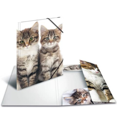 Eckspannmappe Sammelmappe 7143, A3 Motiv "Katzen" Polypropylen (PP), mit 3 Einschlagklappen