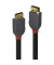 Verbindungskabel, Anthra Line, 2 x DP - Stecker/Stecker, L: 1 m