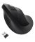 Maus Pro Fit Ergo K75501EU vertikal kabellos sw