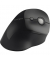 Maus Pro Fit Ergo K75501EU vertikal kabellos sw