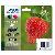 Druckerpatrone Claria Home 29 (C13T29864012), Multipack, schwarz, cyan, magenta, gelb