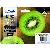 Druckerpatrone 202XL/T02G74 C13T02G74010 (kompatibel zu Epson 202XL), schwarz/fotoschwarz/cyan/magenta/gelb, ca. 1x 550, 1x 800,