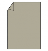 Briefbogen Paperado A4 100g taupe metallic 164001411
