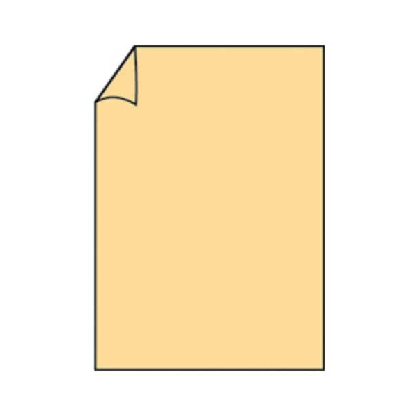 100 Stück Rössler Briefpapier Paperado 164001122, melon, A4, 100g 4014969183427 Rössler