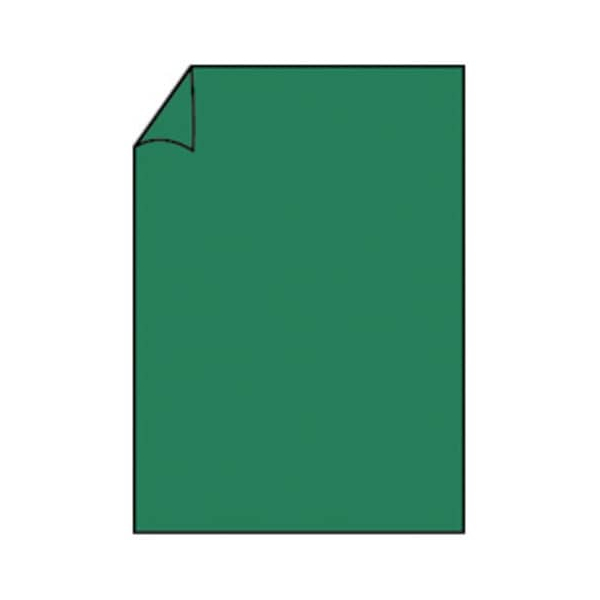 100 Stück Rössler Briefpapier Paperado 16400197, tannengrün, A4, 100g 4014969115084 Rössler