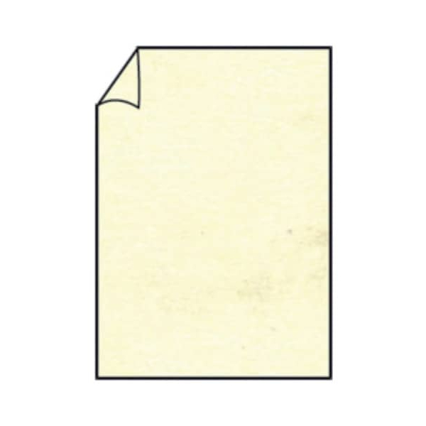 100 Stück Rössler Briefpapier Paperado 16400106, chamois marmora, A4, 100g 4014969044537 Rössler