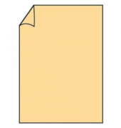 Blanko-Grußkarten Briefpapier 164026122 A4 210mm x 297mm (BxH) 160g melon Karton