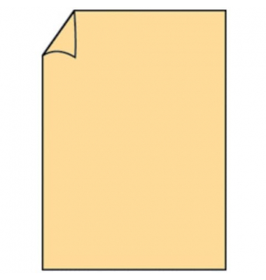 Briefpapier Paperado 164026122, melon, A4, 160g