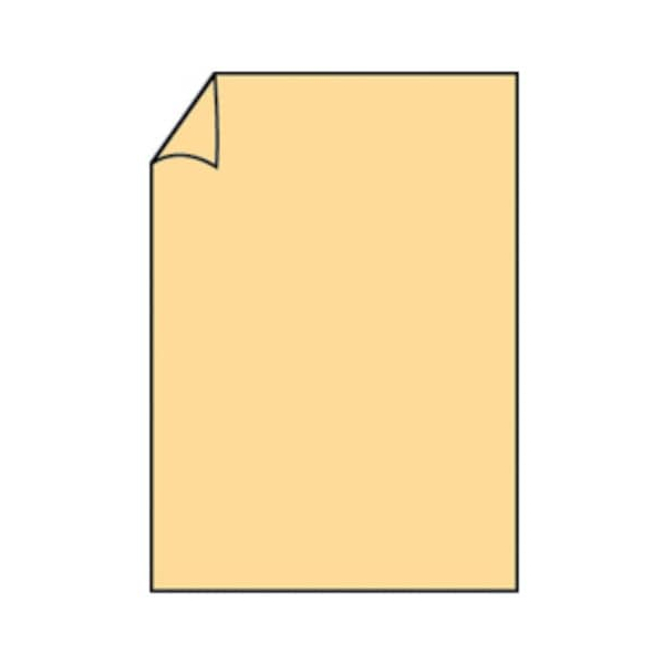 100 Stück Rössler Briefpapier Paperado 164026122, melon, A4, 160g 4014969184622 Rössler