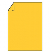 Briefpapier Briefpapier 16402643, ocker, A4, 160g