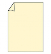 Blanko-Grußkarten Briefpapier 16402608 A4 210mm x 297mm (BxH) 160g chamois Karton