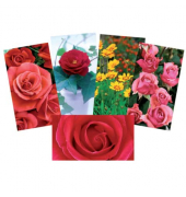 Fotoalbum 49-0929 Blumen bunt