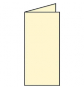 Blanko-Gru&szlig;karten Faltkarte 16400308 DIN lang hoch doppelt 100mm x 210mm (BxH) 220g ohne chamois