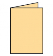 Blanko-Grußkarten Faltkarte 164006122 A5 105mm x 148mm (BxH) 220g melon
