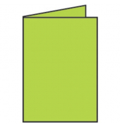 Blanko-Grußkarten Faltkarte 16401922 DIN B6  Hoch doppelt 120mm x 169mm (BxH) 240g maigrün