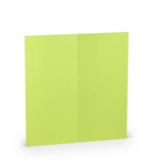 Blanko-Gru&szlig;karten 16406922 DIN lang 100mm x 210mm (BxH) 220g maigr&uuml;n gerippt