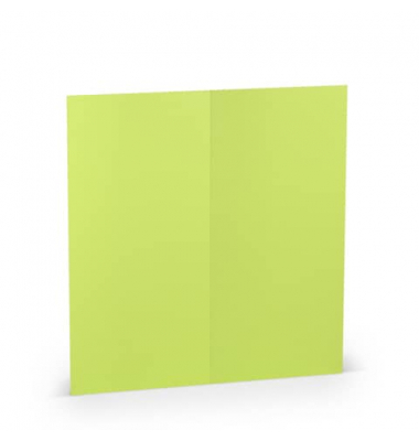 Blanko-Gru&szlig;karten 16406922 DIN lang 100mm x 210mm (BxH) 220g maigr&uuml;n gerippt