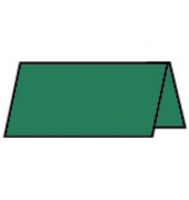 16403097    220g Tischkarte 100x100mm tann.gr&uuml;n