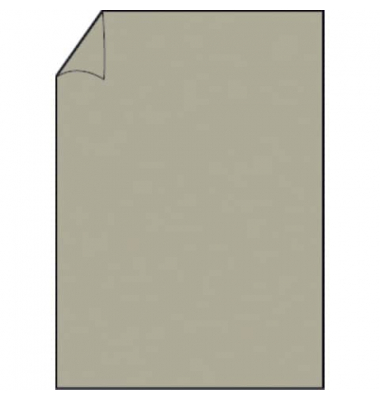 Briefpapier Paperado 164012411, taupe metallic, A4, 250g