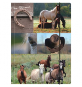 Sammelmappe Pferde Collage 41052, A3 mehrfarbig, Karton 500g