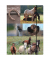 Sammelmappe Pferde Collage 41052, A3 mehrfarbig, Karton 500g