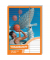 Vokabelheft 2409, Lineatur 54 / liniert / 3 Spalten, A5, 70g, orange, 32 Blatt / 64 Seiten