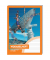 Vokabelheft 2451 Schul- Standardheft-Serie, Lineatur 53 / liniert / 2 Spalten, A4, 70g, orange, 32 Blatt / 64 Seiten