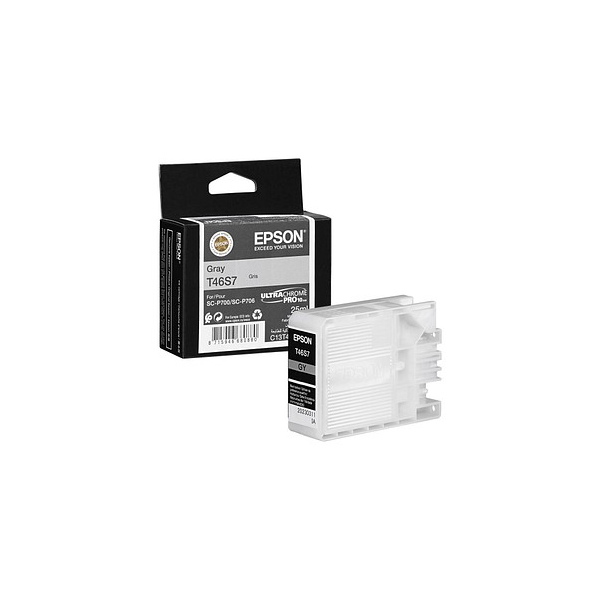 8715946680880 - Singlepack Gray T46S7 UltraChrome Pro 10 ink - Tintenpatrone Grau