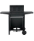 Gasgrill Bloomfield 3160
