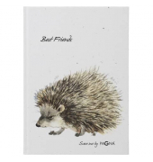 Freundebuch Igel Save me No.2 weiß