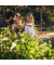 relaxdays Kinder 10030924_0 Gartenbank schwarz/braun Holz 83,0 cm
