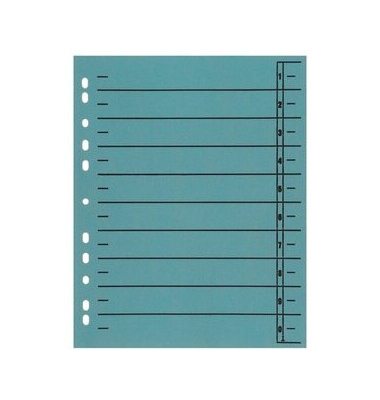 Trennblätter 9510508100 A4 hellblau 230g 