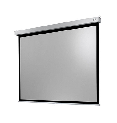 celexon Rolloleinwand Professional Plus 4:3, 160 x 120 cm Projektionsfläche