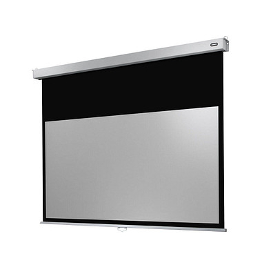 celexon Rolloleinwand Professional Plus 16:9, 200 x 113 cm Projektionsfläche