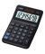 CASIO MS-8F