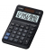 CASIO MS-10F