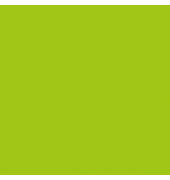 plottiX SpeedFlex Aufbügelfolie apfelgrün Flex-Folie 32,0 x 50,0 cm,  1 Rolle