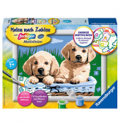 Ravensburger Malen-nach-Zahlen Süße Hundewelpen