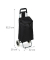 Einkaufstrolley 10027828_46, 28 Liter # Schloss, außen 42x28x92,5cm, Polyester, Kunststoff schwarz
