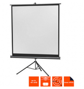 celexon Stativleinwand Economy 1:1, 244 x 244 cm Projektionsfläche