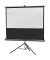 celexon Stativleinwand Economy 16:9, 158 x 89 cm Projektionsfläche