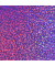 plottiX EffektFlex Aufbügelfolie lila Effekt-Folie 32,0 x 50,0 cm,  1 Rolle