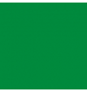 plottiX SpeedFlex Aufbügelfolie grün Flex-Folie 32,0 x 50,0 cm,  1 Rolle
