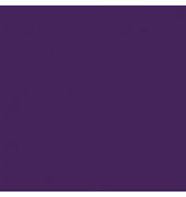 plottiX SpeedFlex Aufbügelfolie lila Flex-Folie 32,0 x 50,0 cm,  1 Rolle